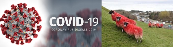 &Sigma;&Chi;&Epsilon;&Tau;&Iota;&Kappa;&Alpha; &Mu;&Epsilon; &Tau;&Eta;&Nu; &Kappa;&Alpha;&Rho;&Alpha;&Nu;&Tau;&Iota;&Nu;&Alpha;, &Tau;&Alpha; &Mu;&Epsilon;&Tau;&Rho;&Alpha; &Kappa;&Alpha;&Iota; &Tau;&Eta;&Nu; &Pi;&Rho;&Omicron;&Sigma;&Omega;&Pi;&Iota;&Kappa;&Eta; &Epsilon;&Upsilon;&Theta;&Upsilon;&Nu;&Eta; (&Alpha;&Pi;&Omicron;&Phi;&Alpha;&Sigma;&Iota;&Sigma;&Tau;&Epsilon; &Epsilon;&Iota;&Sigma;&Tau;&Epsilon; &Pi;&Rho;&Omicron;&Beta;&Alpha;&Tau;&Alpha; &lsquo;&Eta; &Pi;&Omicron;&Lambda;&Iota;&Tau;&Epsilon;&Sigma;;)