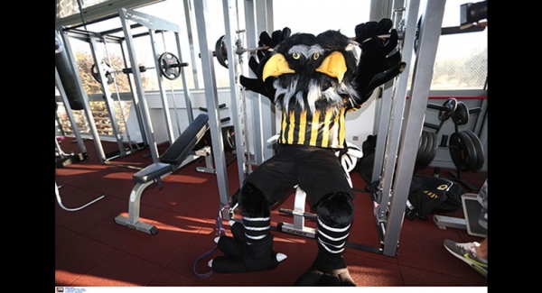 &Eta; &Mu;&Alpha;&Sigma;&Kappa;&Omicron;&Tau; &Tau;&Eta;&Sigma; &Pi;&Omicron;&Delta;&Omicron;&Sigma;&Phi;&Alpha;&Iota;&Rho;&Iota;&Kappa;&Eta;&Sigma; &Alpha;.&Epsilon;.&Kappa;. &Kappa;&Alpha;&Iota; &Omicron;&Iota; &Alpha;&Theta;&Epsilon;&Omicron;&Beta;&Omicron;&Phi;&Omicron;&Iota; (&Lambda;&Epsilon;&Tau;&Epsilon; &Omicron; &Chi;&Alpha;&Gamma;&Kappa;&Alpha; &Nu;&Alpha; &Epsilon;&Iota;&Nu;&Alpha;&Iota; &Eta; &Alpha;&Rho;&Chi;&Eta; &Tau;&Omicron;&Upsilon; &Tau;&Epsilon;&Lambda;&Omicron;&Upsilon;&Sigma; &Tau;&Omicron;&Upsilon;&Sigma;;)