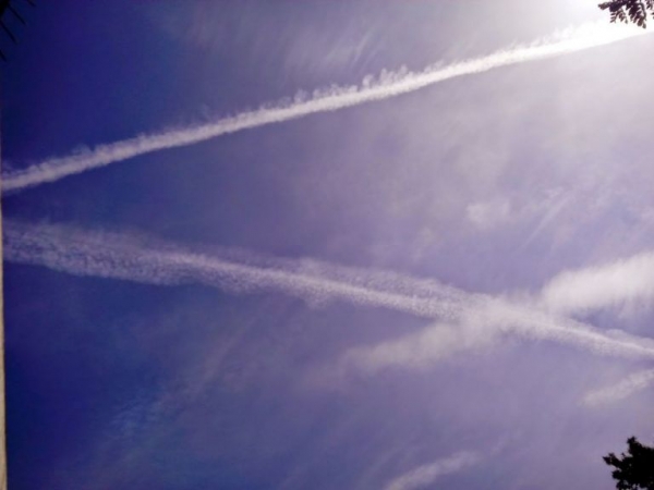 &Mu;&Eta; &Psi;&Alpha;&Chi;&Nu;&Epsilon;&Tau;&Epsilon; &Alpha;&Lambda;&Lambda;&Omicron;&Upsilon; &Gamma;&Iota;&Alpha; &laquo;&Psi;&Epsilon;&Kappa;&Alpha;&Sigma;&Mu;&Epsilon;&Nu;&Omicron;&Upsilon;&Sigma;&raquo; (&laquo;&Psi;&Epsilon;&Kappa;&Alpha;&Sigma;&Mu;&Epsilon;&Nu;&Omicron;&Iota;&raquo; &Epsilon;&Iota;&Mu;&Alpha;&Sigma;&Tau;&Epsilon; &Sigma;&Chi;&Epsilon;&Delta;&Omicron;&Nu; &Omicron;&Lambda;&Omicron;&Iota;)