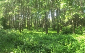&Pi;&Rho;&Alpha;&Kappa;&Tau;&Iota;&Kappa;&Alpha; &Mu;&Alpha;&Theta;&Eta;&Mu;&Alpha;&Tau;&Alpha; &Omicron;&Iota;&Kappa;&Omicron;&Nu;&Omicron;&Mu;&Iota;&Alpha;&Sigma; &ndash; &Pi;&Alpha;&Rho;&Alpha;&Rho;&Tau;&Eta;&Mu;&Alpha;. &Sigma;&Chi;&Epsilon;&Tau;&Iota;&Kappa;&Alpha; &Mu;&Epsilon; &Tau;&Eta;&Nu; &Omicron;&Iota;&Kappa;&Omicron;&Nu;&Omicron;&Mu;&Iota;&Kappa;&Eta; &Epsilon;&Kappa;&Mu;&Epsilon;&Tau;&Alpha;&Lambda;&Lambda;&Epsilon;&Upsilon;&Sigma;&Eta; &Tau;&Eta;&Sigma; &Phi;&Upsilon;&Sigma;&Eta;&Sigma;.
