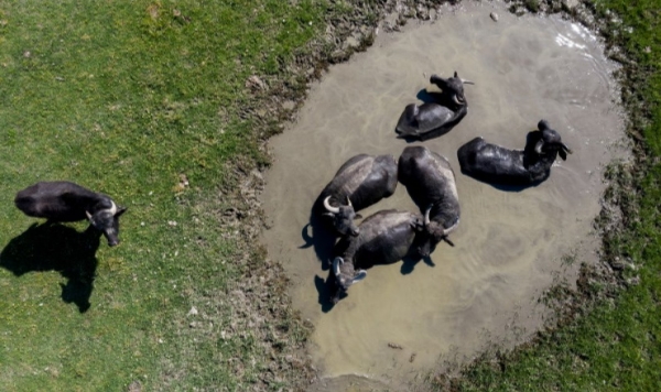 &Omicron;&Tau;&Alpha;&Nu; &Tau;&Alpha; &Beta;&Omicron;&Upsilon;&Beta;&Alpha;&Lambda;&Iota;&Alpha; &Tau;&Sigma;&Alpha;&Kappa;&Omega;&Nu;&Omicron;&Nu;&Tau;&Alpha;&Iota; &Mu;&Epsilon;&Tau;&Alpha;&Xi;&Upsilon; &Tau;&Omicron;&Upsilon;&Sigma; (&Tau;&Omega;&Rho;&Alpha; &Tau;&Omicron;&Upsilon;&Sigma; &Epsilon;&Pi;&Iota;&Alpha;&Sigma;&Epsilon; &Omicron; &Pi;&Omicron;&Nu;&Omicron;&Sigma; &Gamma;&Iota;&Alpha; &Tau;&Eta;&Nu; &Sigma;&Omicron;&Upsilon;&Pi;&Epsilon;&Rho;&Lambda;&Iota;&Gamma;&Kappa;&Alpha;;)